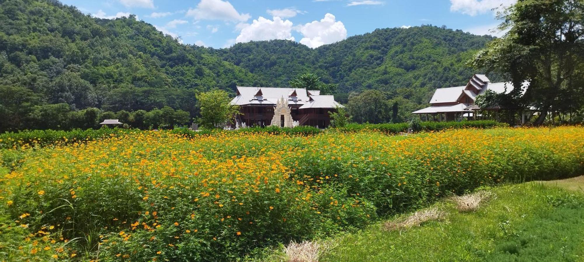 La Villa De Madame Su Csiangmaj Kültér fotó